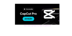 Tài khoản Capcut Pro