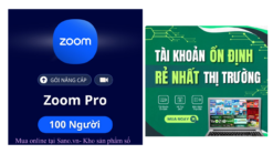 Nâng cấp Zoom Pro giá rẻ